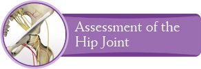 Assessment of the Hip Joint